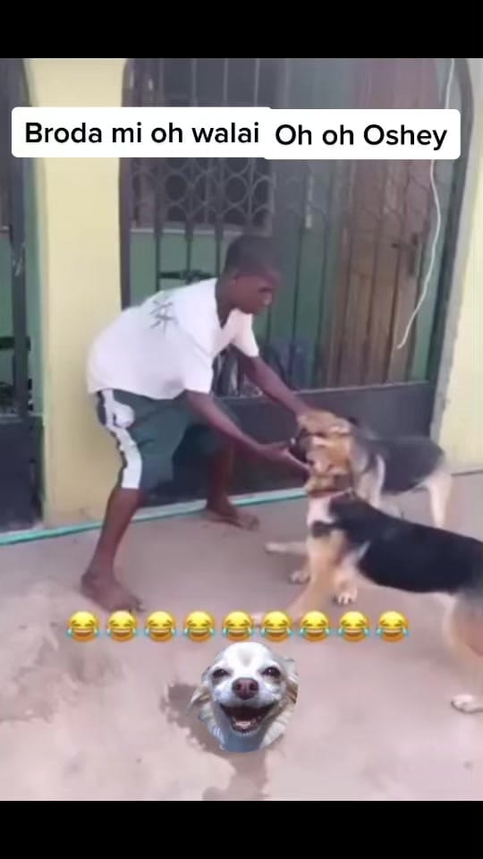 Post 7 by starmor10 on TikTok (video)