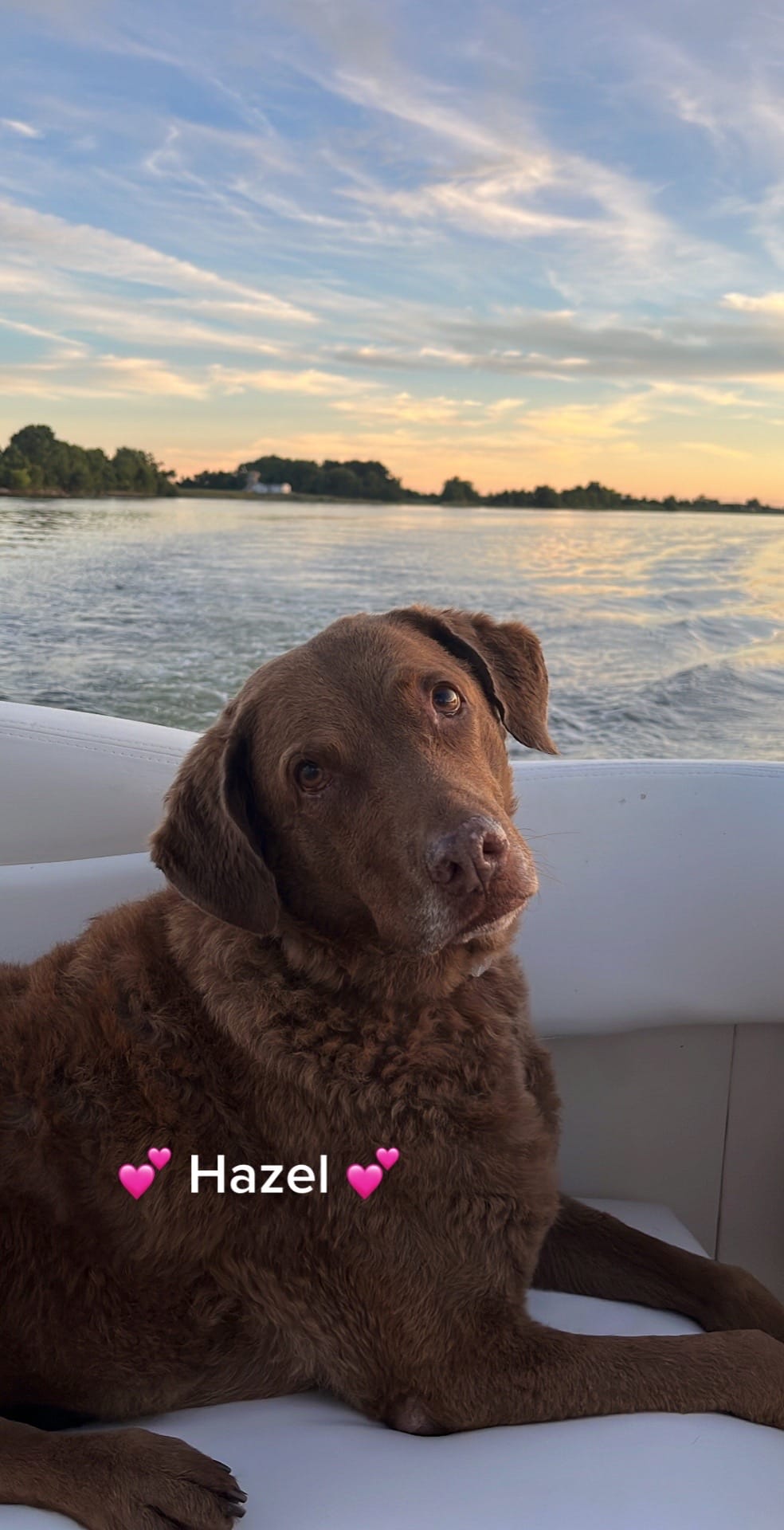 Post 6 by Chelsea <3 on TikTok (video)