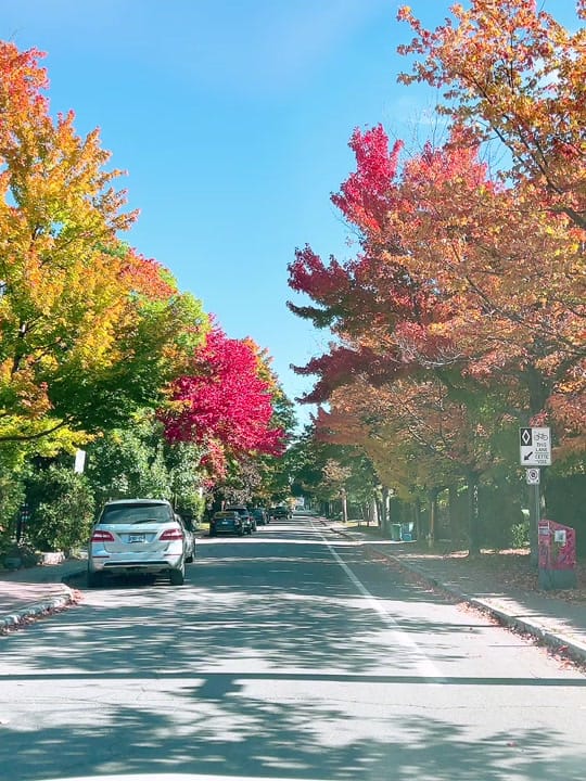 Post 10 by CH Zohaib Hassan🇨🇦 on TikTok (video)