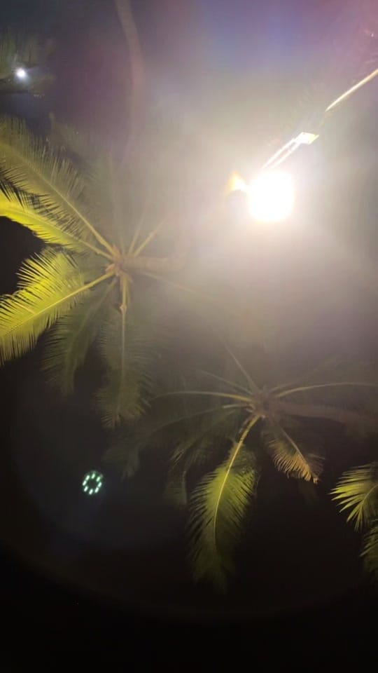 Post 4 by Mark Grey on TikTok (video)