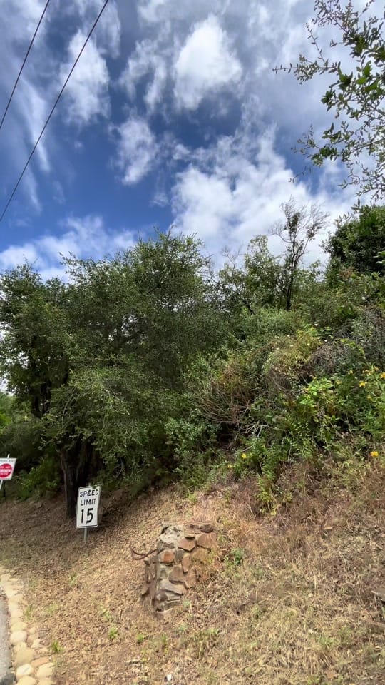 Post 5 by Mark Grey on TikTok (video)