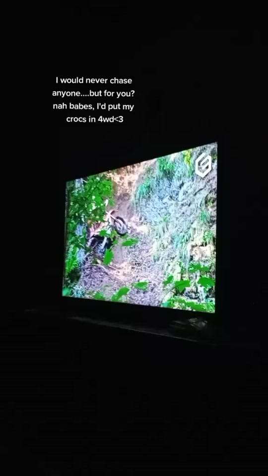 Post 4 by 😽 on TikTok (video)