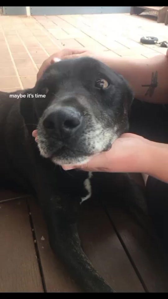 Post 5 by 😽 on TikTok (video)