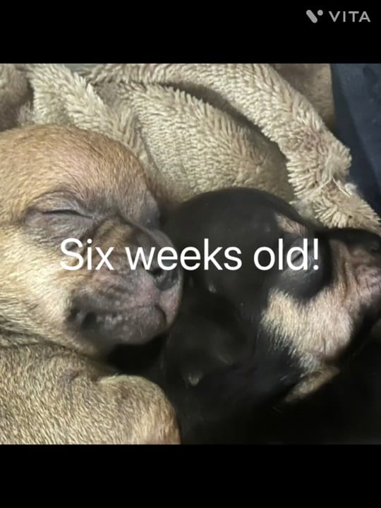 Post 5 by Bridget Lee❌ on TikTok (video)