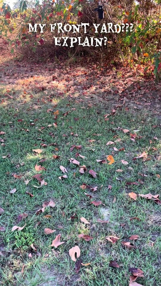 Post 7 by Bridget Lee❌ on TikTok (video)