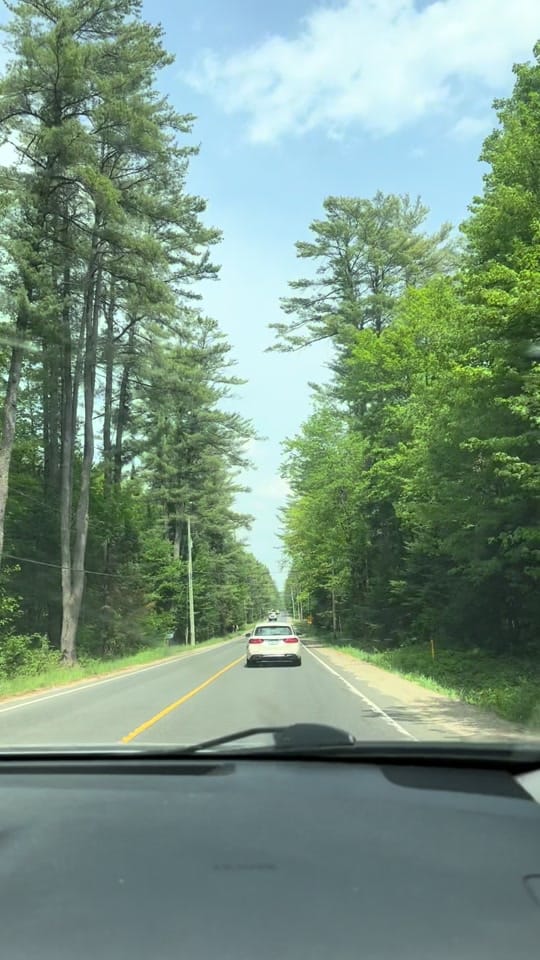 Post 5 by zulekha on TikTok (video)