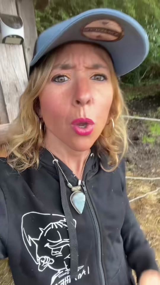 Post 3 by Nanoland on TikTok (video)