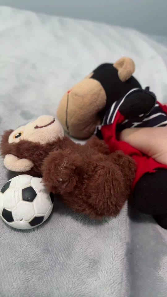 Post 3 by 👑♥️ Niner’s Empress✨🎙️🐒 on TikTok (video)