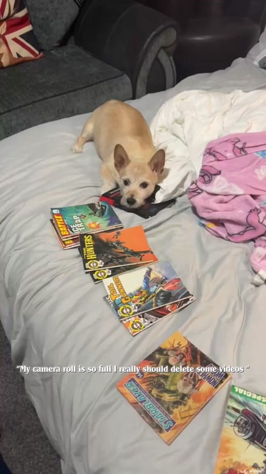 Post 1 by Chelsea Kerr on TikTok (video)