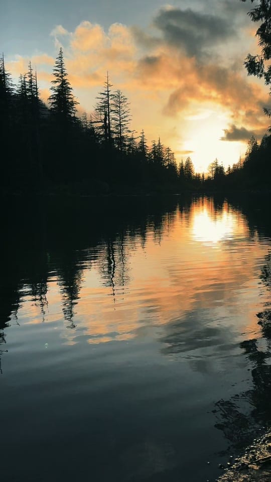 Post 7 by 🌲 James | WA 🏔️ on TikTok (video)