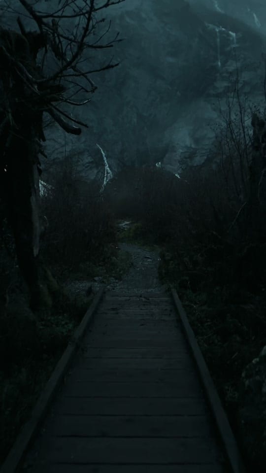 Post 8 by 🌲 James | WA 🏔️ on TikTok (video)
