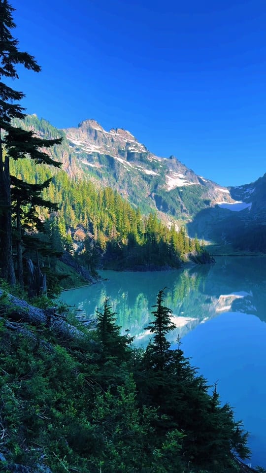 Post 9 by 🌲 James | WA 🏔️ on TikTok (video)