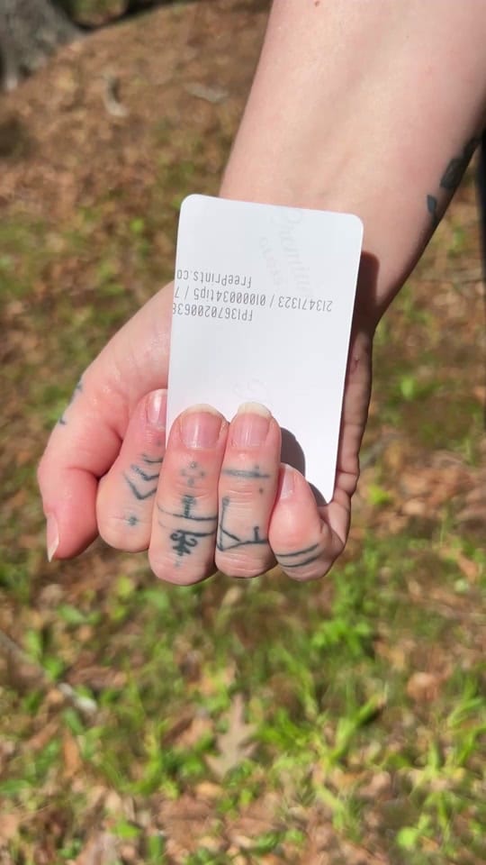 Post 4 by Lacey Rose on TikTok (video)