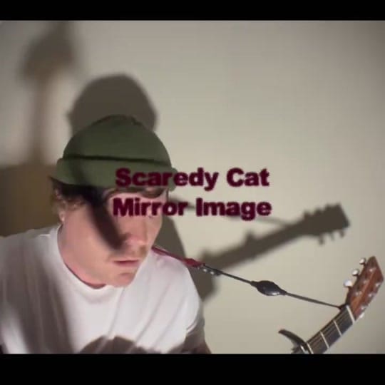 Post 4 by Scaredy Cat on TikTok (video)