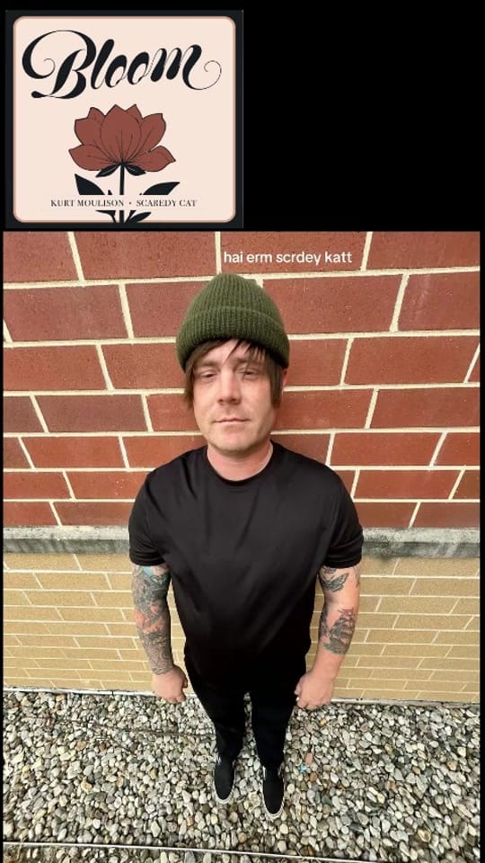 Post 6 by Scaredy Cat on TikTok (video)