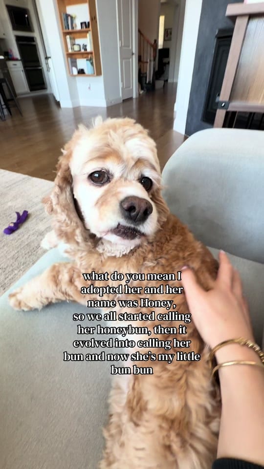 Post 7 by Kate Baker on TikTok (video)