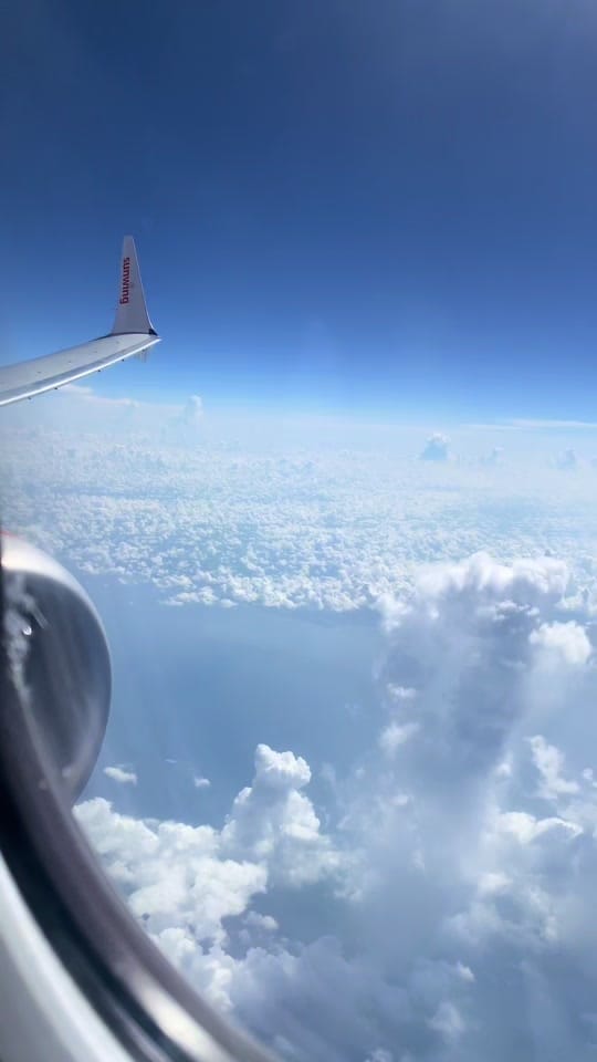 Post 2 by Felicia Gunnis on TikTok (video)