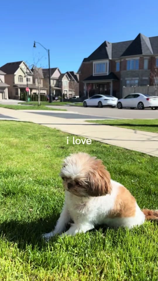 Post 3 by Felicia Gunnis on TikTok (video)