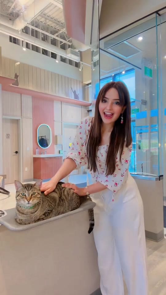 Post 3 by Marina Yacin | Toronto 🇨🇦 on TikTok (video)