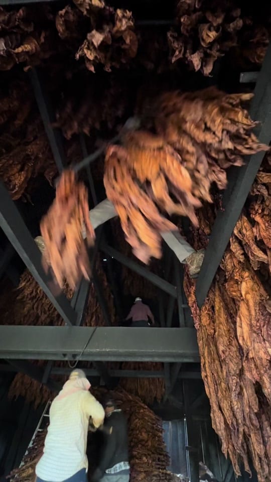 Post 8 by jessejordan99 on TikTok (video)