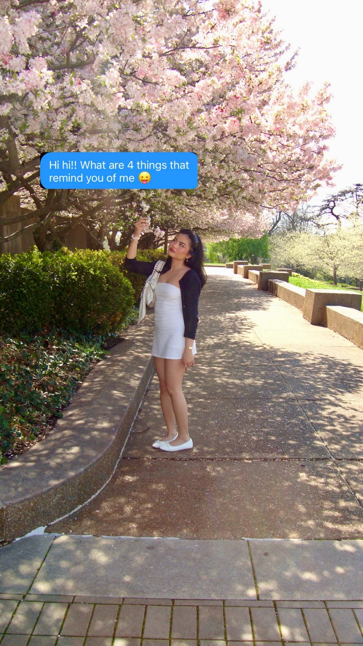 Post 3 by chelsea on TikTok (video)