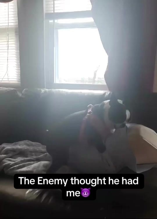 Post 6 by Gina Loudermilk on TikTok (video)