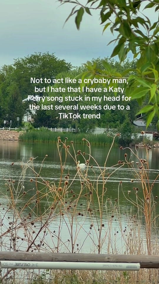 Post 1 by zoeraemusic on TikTok (video)