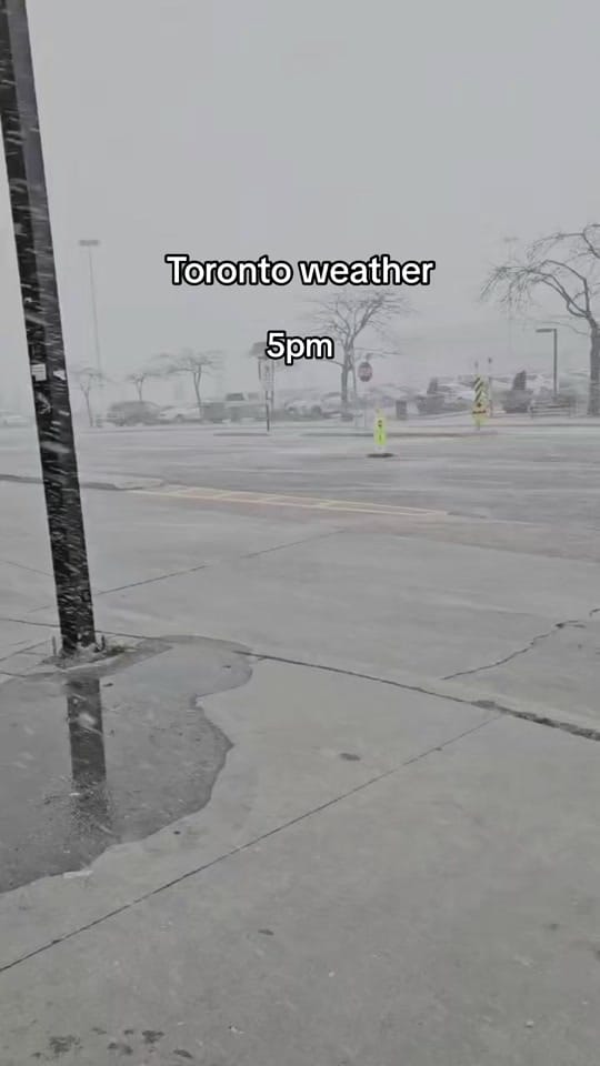 Post 6 by Photographer Toronto🇨🇦 on TikTok (video)