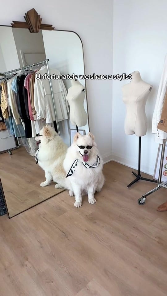 Post 6 by Styled by Alicia on TikTok (video)