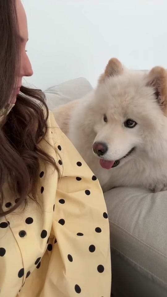 Post 8 by Styled by Alicia on TikTok (video)