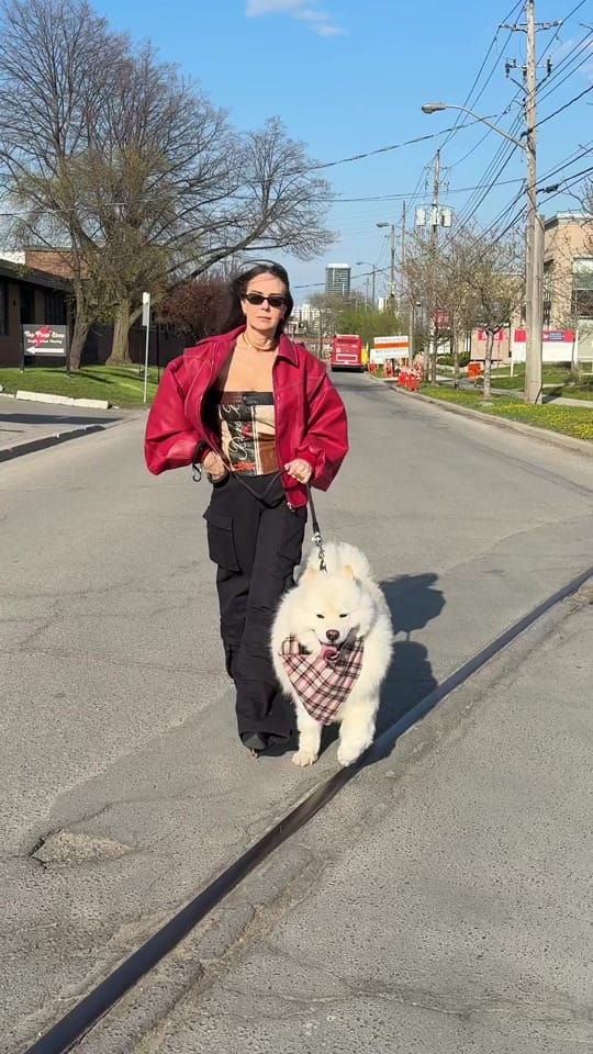 Post 9 by Styled by Alicia on TikTok (video)