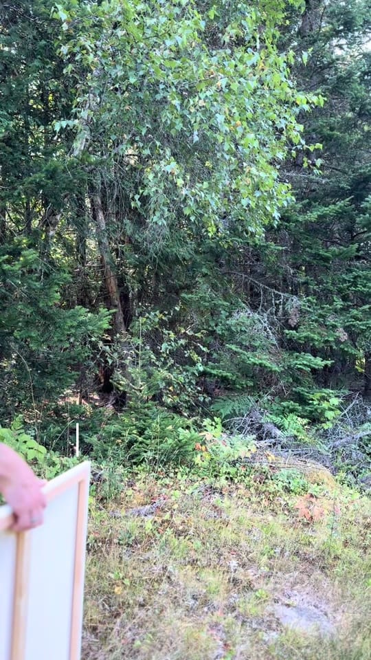Post 2 by hlaw.art on TikTok (video)