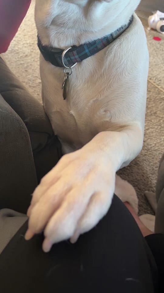 Post 1 by Jenna The Singing Realtor on TikTok (video)