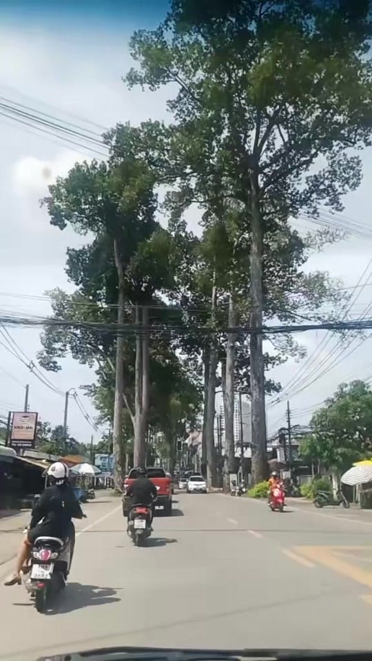 Post 8 by 💔ไม่ตีเองไม่โทษใคร❤️‍🩹 on TikTok (video)