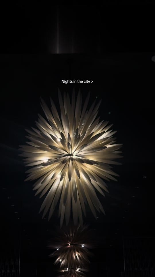 Post 7 by Laura Orrego on TikTok (video)