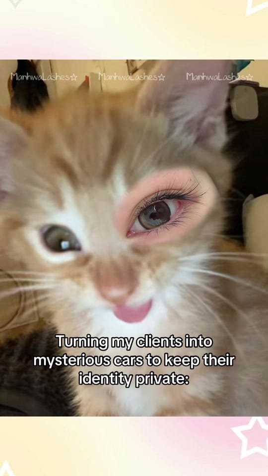 Post 8 by 𝑴𝒂𝒏𝒉𝒘𝒂𝑳𝒂𝒔𝒉𝒆𝒔𝒀𝑽𝑹 on TikTok (video)