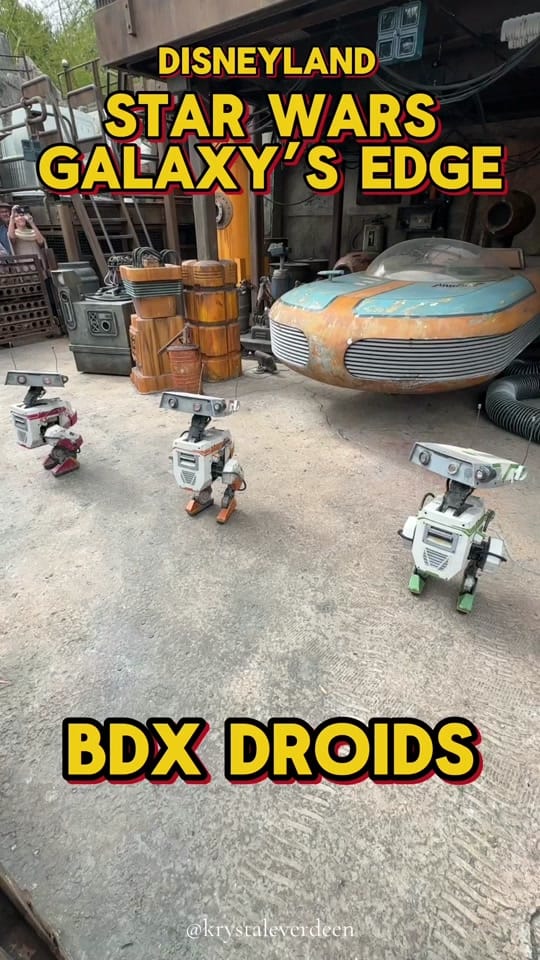 Post 10 by krystaleverdeen on TikTok (video)
