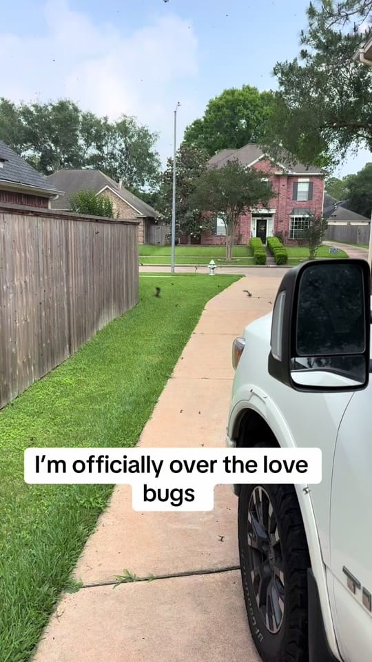 Post 7 by cowboyincognito on TikTok (video)