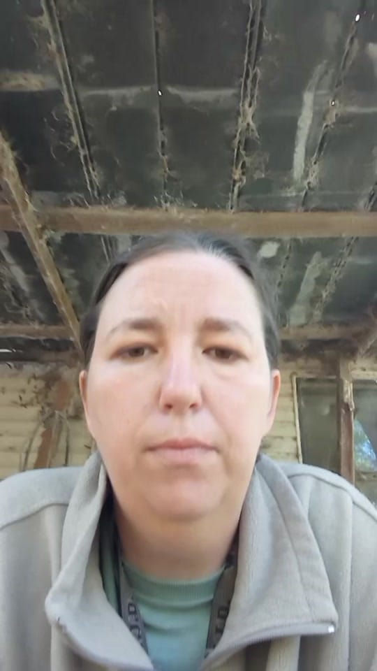 Post 8 by Kathy on TikTok (video)