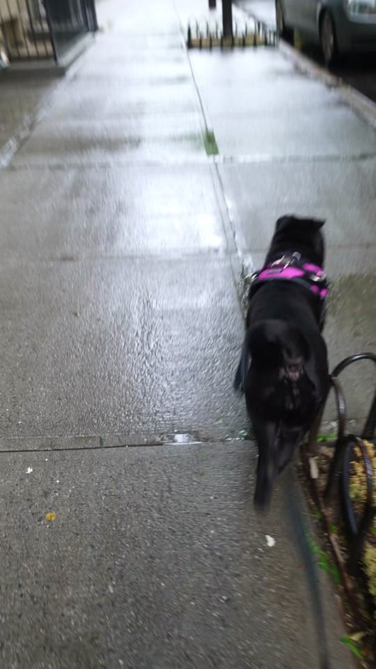 Post 6 by theechelsearae on TikTok (video)