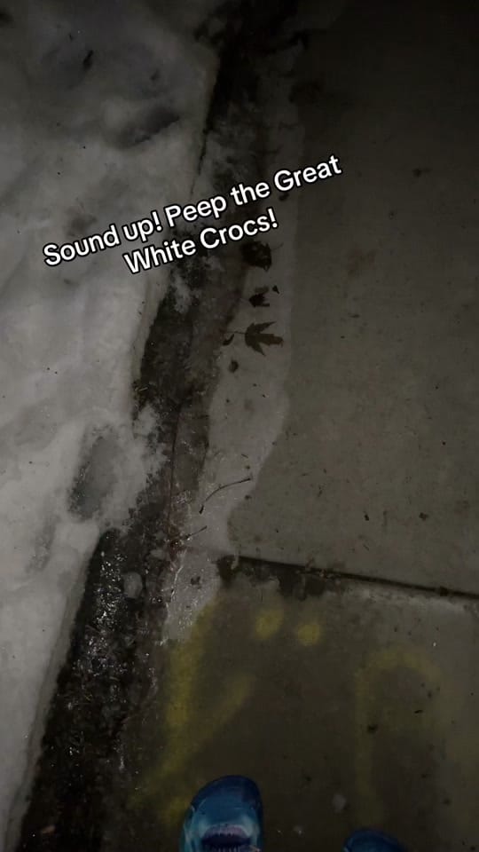 Post 3 by SuburbanMNDad on TikTok (video)