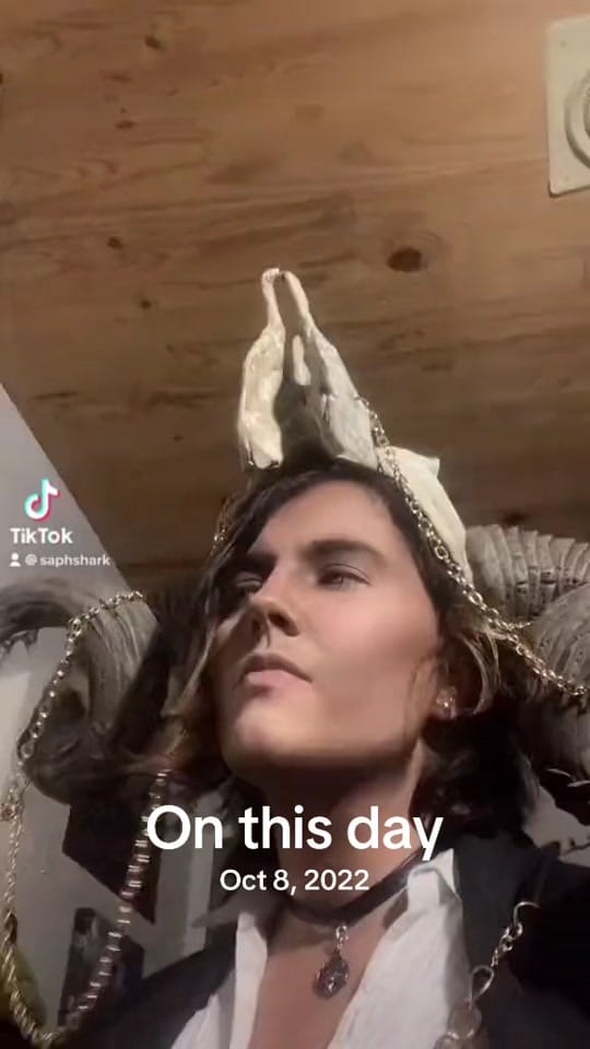 Post 3 by Shark on TikTok (video)