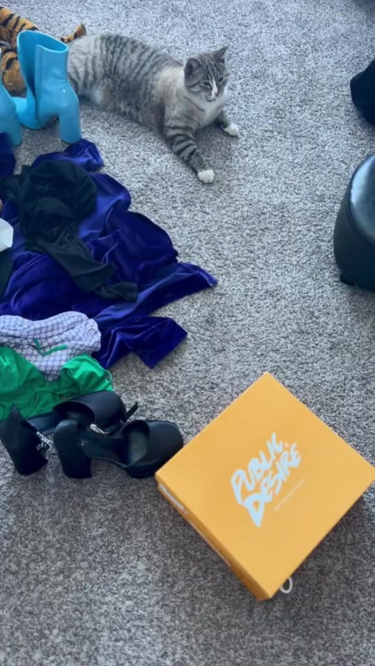 Post 2 by peejsicle on TikTok (video)