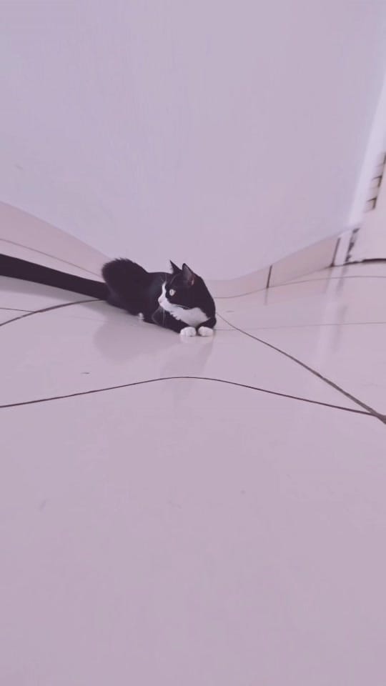 Post 4 by The AL's 🇲🇾 on TikTok (video)