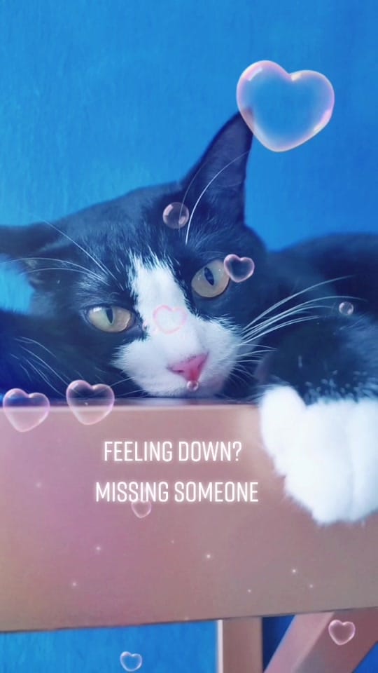 Post 2 by The AL's 🇲🇾 on TikTok (video)