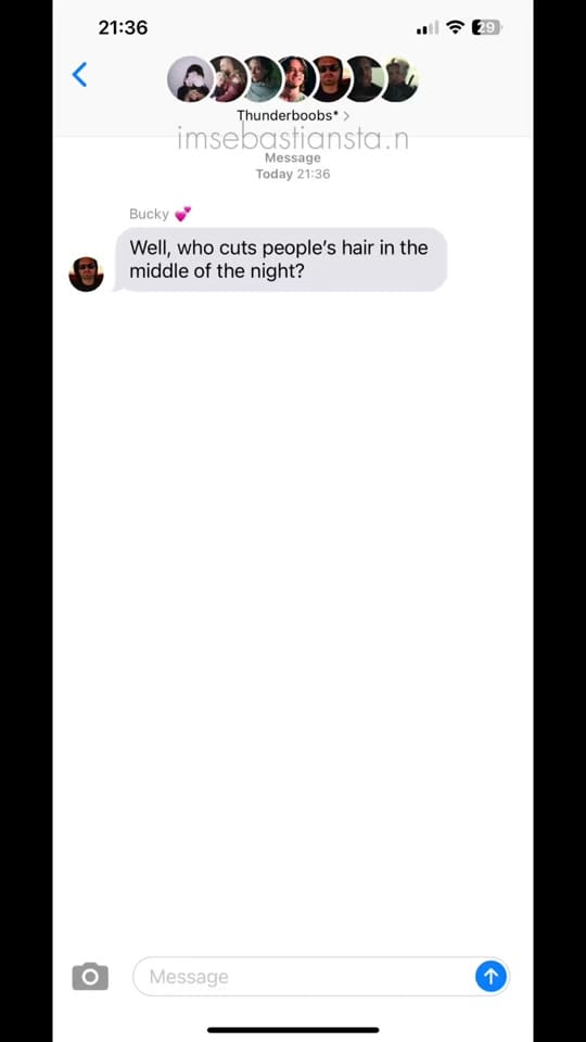 Post 1 by Sebastian Stan on TikTok (video)
