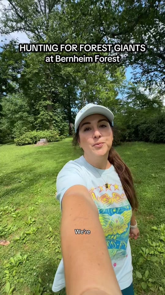 Post 4 by Emily on TikTok (video)