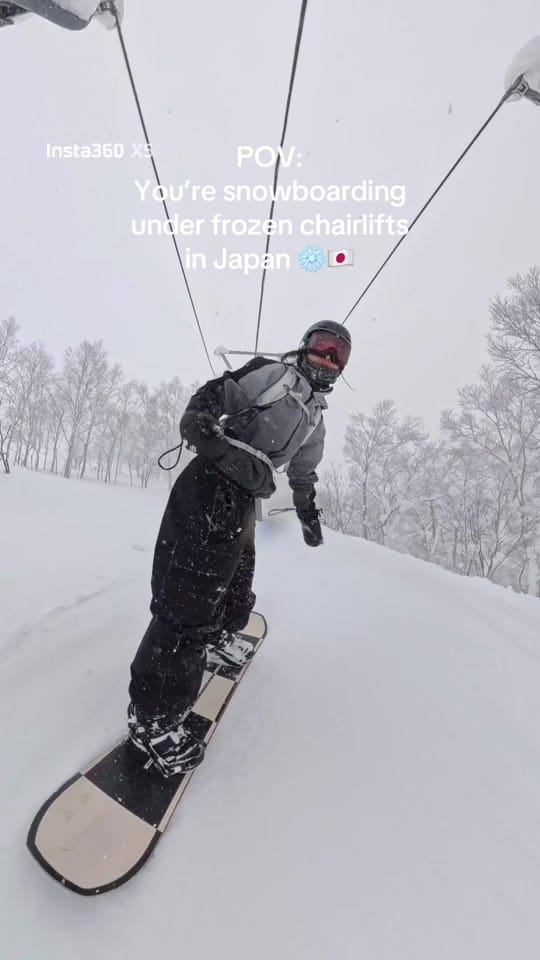 Post 4 by jenn 🍄 on TikTok (video)