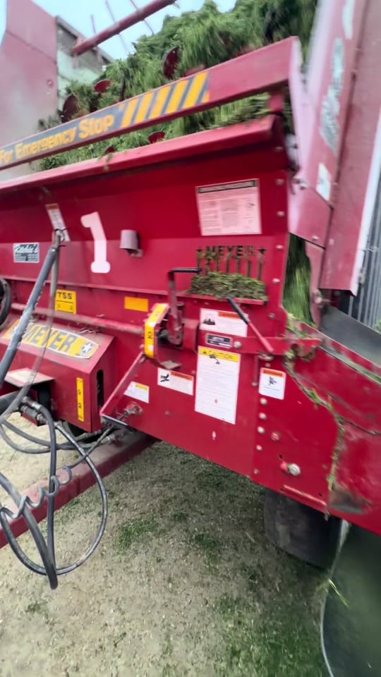 Post 8 by FarminwithTrev on TikTok (video)