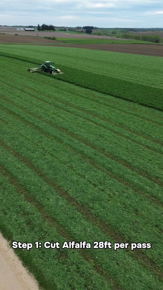 Post 2 by FarminwithTrev on TikTok (video)
